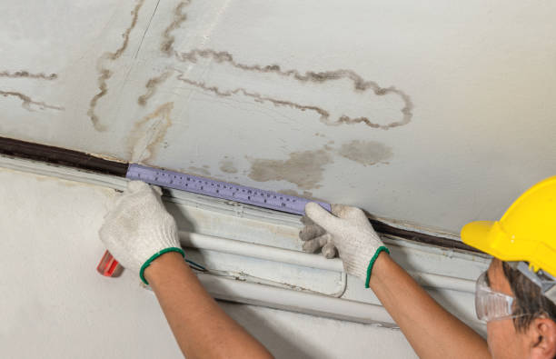 Reliable Water Removal contractor in Pewamo, MI by Water Damage Irwin